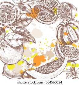 Background with Ink hand drawn citrus fruits, leaves and flowers. Template for design leaflets, labels, banners. Vector illustration.