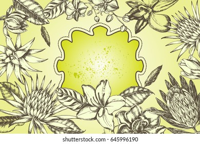 Background with Ink hand drawn exotic tropical flowers and leaves. Template for invitations, cards, labels. Vector illustration.