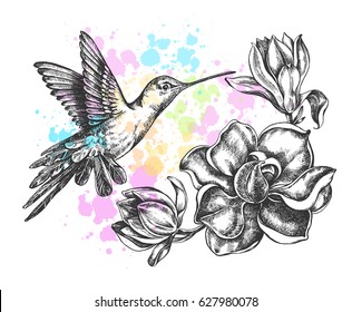 Background with Ink hand drawn flying colibri bird and magnolia flowers. Template for cards, banners, posters. Vector illustration.