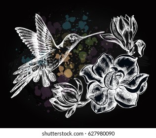 Background with Ink hand drawn flying colibri bird and magnolia flowers. Template for cards, banners, posters. Vector illustration.