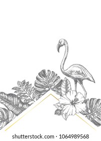 Background with Ink hand drawn hibiscus flower, flamingo bird and tropical leaves. Template for cards, banners, labels. Vector illustration.