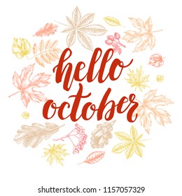 Background with Ink hand drawn maple, chestnut leaves, rowan berries. Autumn elements composition with brush calligraphy style lettering. Vector illustration.