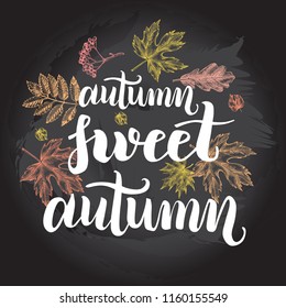 Background with Ink hand drawn maple leaves. Autumn elements composition with brush calligraphy style lettering. Vector illustration.