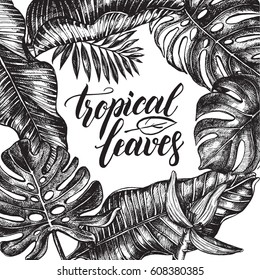 Background with Ink hand drawn tropical elements - Banana leaves and flower, monstera, palm leaves. Template for cards, leaflets, labels with brush calligraphy style lettering. Vector illustration.
