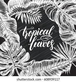 Background with Ink hand drawn tropical elements - Banana leaves, monstera, palm leaves. Template for cards, leaflets, labels with brush calligraphy style lettering. Vector illustration.