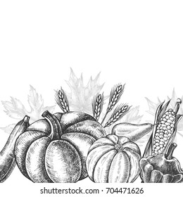 Background with Ink hand drawn vegetables and fruits - zucchini, pumpkin, patisson, pear, corn. Autumn harvest elements composition. Vector illustration. Template for menu, posters, banners design.