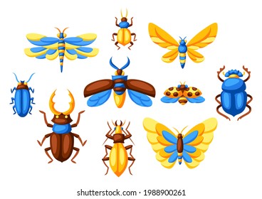 Background with insects. Stylized butterflies, beetles and dragonflies.