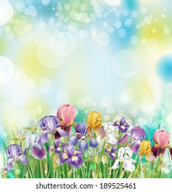 Background with Iris flowers