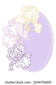 Background with iris flowers. Beautiful decorative plants.