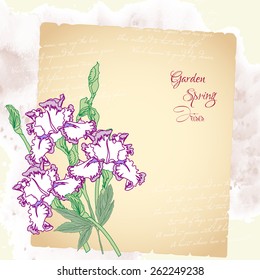 Background with irises.Vector floral illustration