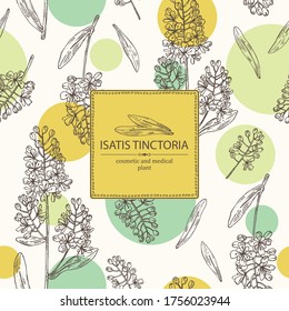 Background with isatis tinctoria: branch, isatis tinctoria flowers and leaves. Cosmetic and medical plant. Vector hand drawn illustration. 