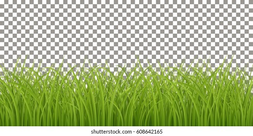 Background with isolated fresh green grass, spring or summer realistic vector background, Eps 10 contains transparency.