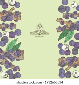 Background with jaboticaba: fruts, jaboticaba berries, leaves and jaboticaba tree. Myrciaria caulifloria. Vector hand drawn illustration