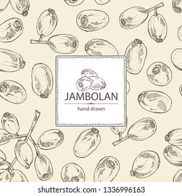Background with jambolan: jambolan fruit and leaves. Vector hand drawn illustration.