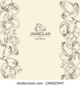 Background with jambolan: jambolan fruit and leaves. Vector hand drawn illustration 