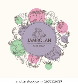 Background with jambolan: jambolan fruit and leaves. Vector hand drawn illustration