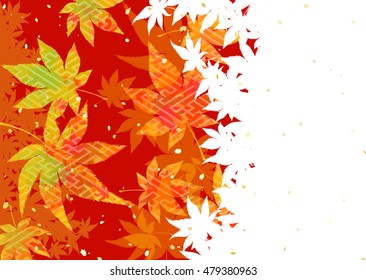Background of Japanese maple autumn leaves