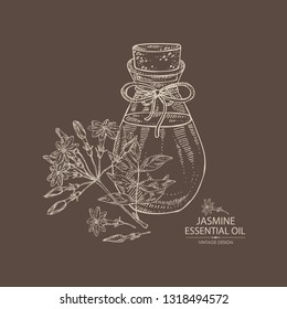 Background with jasmine flower and bottle of jasmine essential oil. Cosmetic, perfumery and medical plant. Vector hand drawn