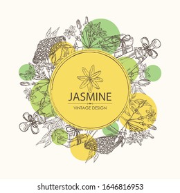 Background with jasmine flower and leaves, jasmine essential oil, soap and bath salt . Cosmetic, perfumery and medical plant. Vector hand drawn illustration. 