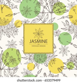 Background With Jasmine: Flower And Leaves.Cosmetic, Perfumery And Medical Plant. Vector Hand Drawn Illustration