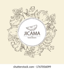 Background with jicama: tuber of jicama, leaves, flower and slice. Pachyrhizus erosus. Vector hand drawn illustration. 