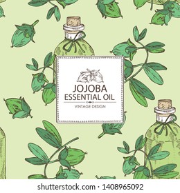 Background with jojoba nuts and bottle of essential oil. Cosmetic, perfumery and medical plant. Vector hand drawn 