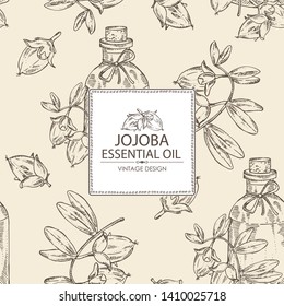 Background with jojoba nuts and bottle of essential oil. Cosmetic, perfumery and medical plant. Vector hand drawn 