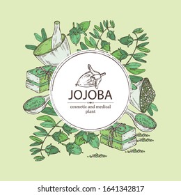 Background with jojoba nuts,branch of jojoba and fruit, essential oil, soap, bath salt and mortar and pestle. Cosmetic, perfumery and medical plant. Vector hand drawn illustration .