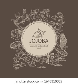 Background with jojoba nuts,branch of jojoba and fruit, essential oil, soap, bath salt and mortar and pestle. Cosmetic, perfumery and medical plant. Vector hand drawn illustration .