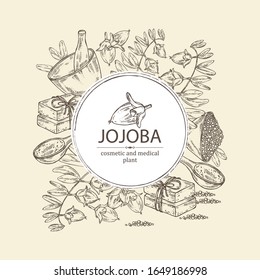 Background with jojoba nuts,branch of jojoba and fruit, essential oil, soap, bath salt and mortar and pestle. Cosmetic, perfumery and medical plant. Vector hand drawn illustration .