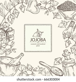 Background with jojoba nuts,branch of jojoba and fruit, essential oil, soap, bath salt and mortar and pestle. Cosmetic, perfumery and medical plant.