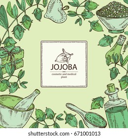 Background with jojoba nuts,branch of jojoba and fruit, essential oil, soap, bath salt and mortar and pestle. Cosmetic, perfumery and medical plant