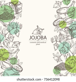 Background with jojoba nuts,branch of jojoba and fruit, essential oil, soap, bath salt and mortar and pestle. Cosmetic, perfumery and medical plant. Vector hand drawn illustration .