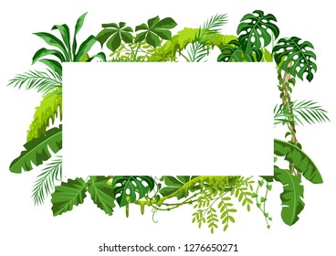 Background with jungle plants. Tropical leaves. Woody natural rainforest.