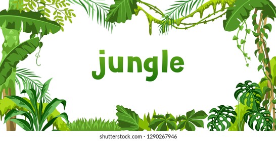 Background with jungle plants. Tropical leaves. Woody natural rainforest.