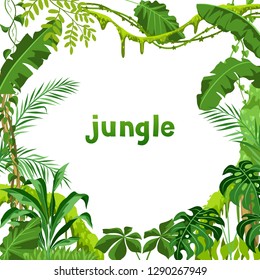 Background with jungle plants. Tropical leaves. Woody natural rainforest.