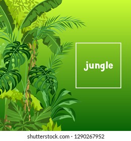 Background with jungle plants. Tropical leaves. Woody natural rainforest.