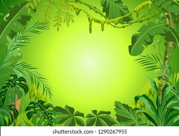 Background Jungle Plants Tropical Leaves Woody Stock Vector (Royalty ...