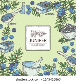 Background with juniper, berries juniper, essential oil, soap, bath salt and mortar and pestle. Cosmetic, perfumery and medical plant. Vector hand drawn illustration