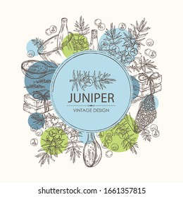 Fondo con enebro, enebro bayas, aceite esencial, jabón, sal de baño y mortero y almirez. Planta cosmética, perfumería y médica. Ilustración dibujada a mano por el vector