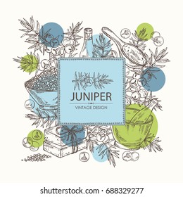 Background with  juniper, berries juniper, essential oil, soap, bath salt and mortar and pestle. Cosmetic, perfumery and medical plant. Vector hand drawn illustration. 