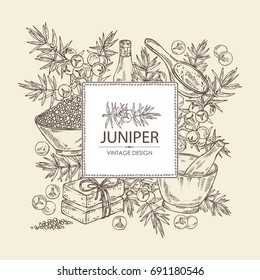 Background with  juniper, berries juniper, essential oil, soap, bath salt and mortar and pestle. Cosmetic, perfumery and medical plant. Vector hand drawn illustration. 
