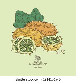 Background with kiwano: fruts, leaves, seeds and kiwano slice. Cucumis metulifer. Vector hand drawn illustration
