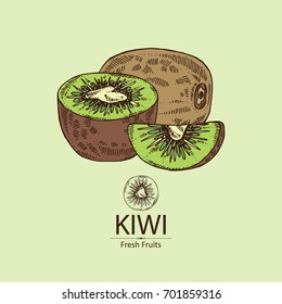 Background with kiwi fruit and slice of kiwi. Vector hand drawn illustration