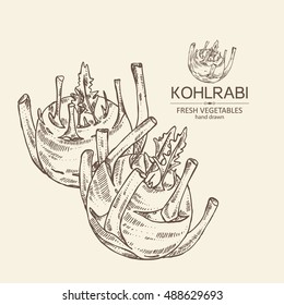 Background with kohlrabi.  hand drawn