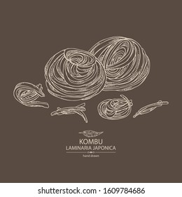 Background with kombu: kombu seaweed, sea kale. Laminaria japonica. Brown algae. Edible seaweed. Vector hand drawn illustration.