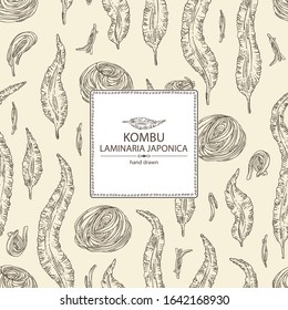 Background with kombu: kombu seaweed, sea kale. Laminaria japonica. Brown algae. Edible seaweed. Vector hand drawn illustration.