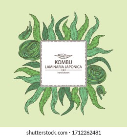 Background with kombu: kombu seaweed, sea kale. Laminaria japonica. Brown algae. Edible seaweed. Vector hand drawn illustration.