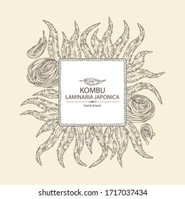 Background with kombu: kombu seaweed, sea kale. Laminaria japonica. Brown algae. Edible seaweed. Vector hand drawn illustration.