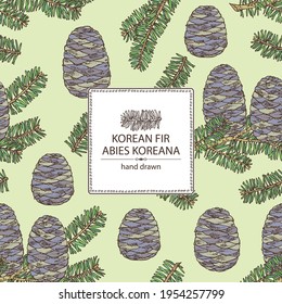 Background with korean fir: branch of korean fir with abies koreana cone. Cosmetics and medical plant. Vector hand drawn illustration.